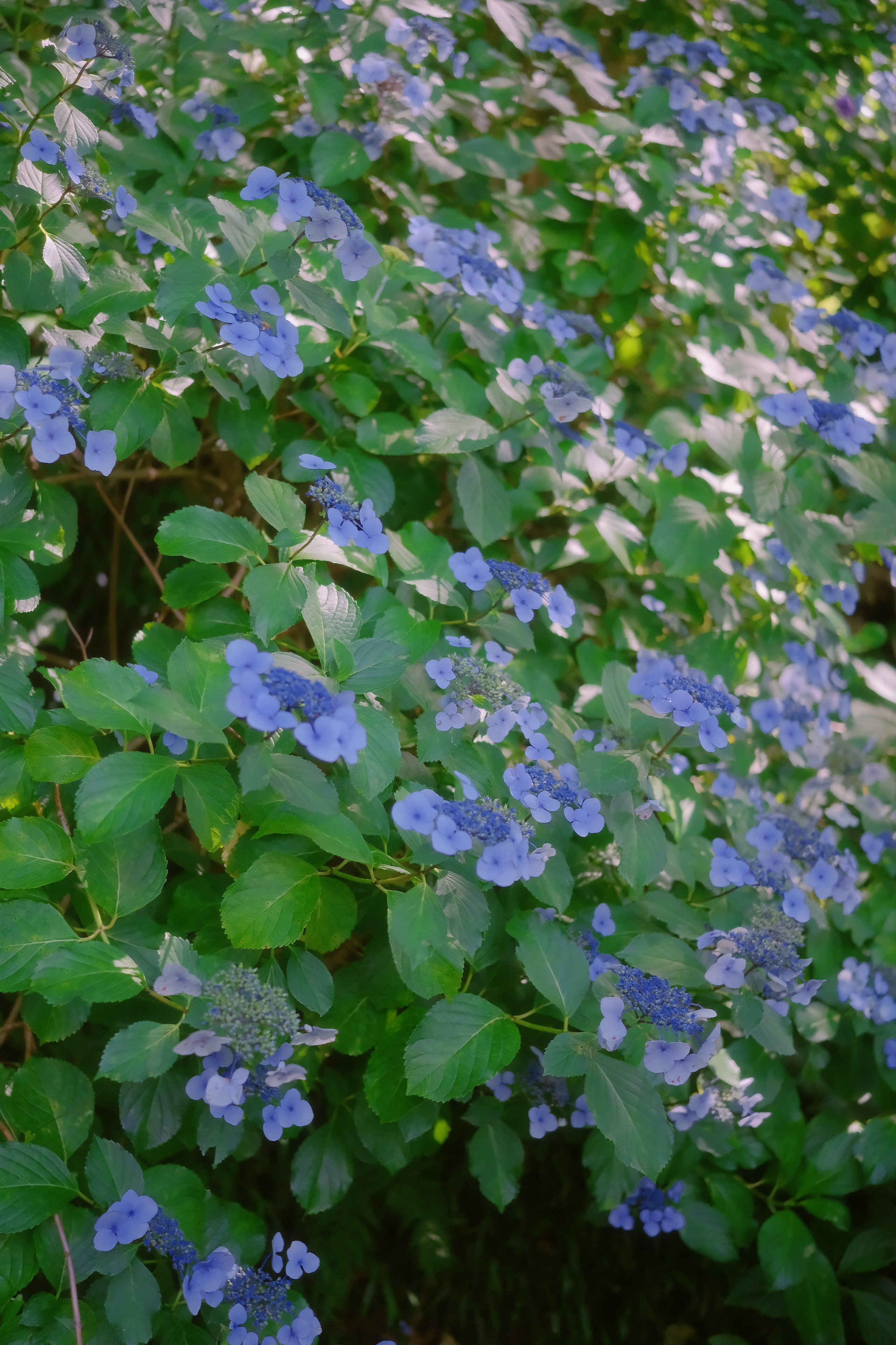 13 (2) from the seasons photography series.